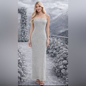 NWT Aya Muse Sera Gray Strapless Wool Maxi Dress L